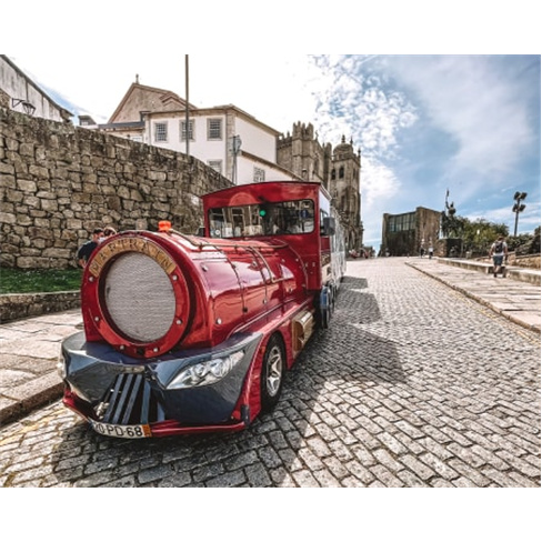 Passeio Magic Train + Cruzeiro das 6 Pontes do Douro + Visita às Caves de Gaia