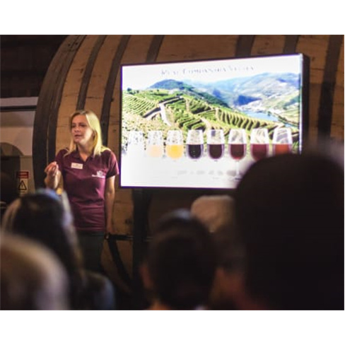 Tour Panorâmico em Eco Car + Visita & Prova de Vinho do Porto na Real Companhia