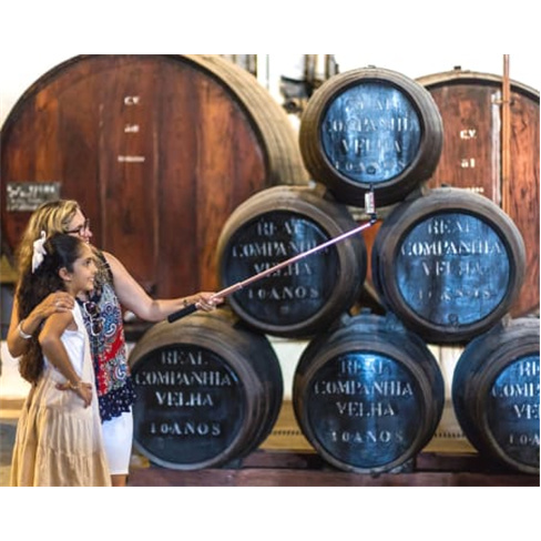 Tour Panorâmico em Eco Car + Visita & Prova de Vinho do Porto na Real Companhia