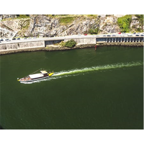 Tour Panorâmico em Eco Car + Visita & Prova de Vinho do Porto na Real Companhia