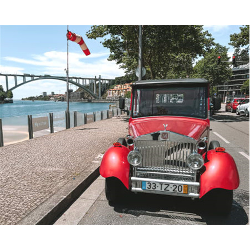 Tour Panorâmico em Eco Car + Visita & Prova de Vinho do Porto na Real Companhia
