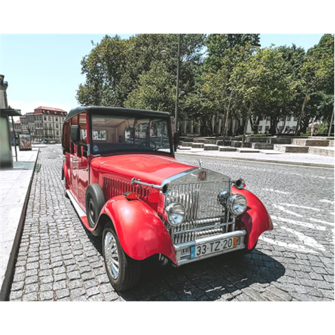 Tour Panorâmico em Eco Car + Visita & Prova de Vinho do Porto na Real Companhia