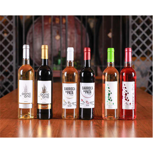 Visita e Prova de Vinhos a Dois | 30 Experiências à Escolha