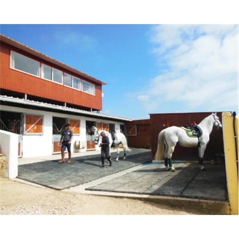Baptismo a Cavalo! Aula de Equitação no Picadeiro Quinta das Cabanas | Cascais
