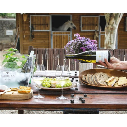 Passeio a Cavalo nas Vinhas + Prova de Vinhos em Bucelas | 1h30. (76 caracteres)