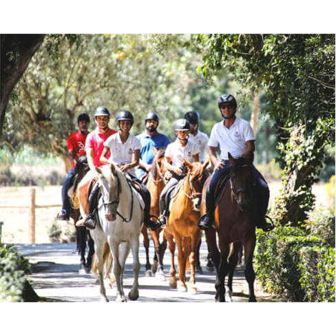 Passeio a Cavalo nas Vinhas | Cavalos da Vinha - Bucelas Passeio a Cavalo | 1 Ho