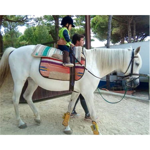 Baptismo a Cavalo em Picadeiro em Sintra | Clube Equestre de Janas - O Paddock E