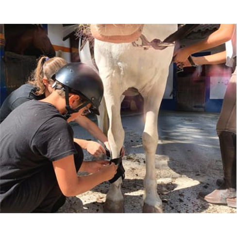 Baptismo a Cavalo em Picade...re de Janas - O Paddock Experiência para 2 Pessoa