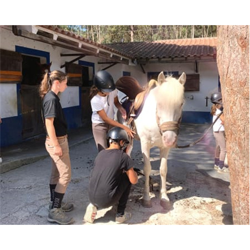 Baptismo a Cavalo em Picade...re de Janas - O Paddock Experiência para 2 Pessoa