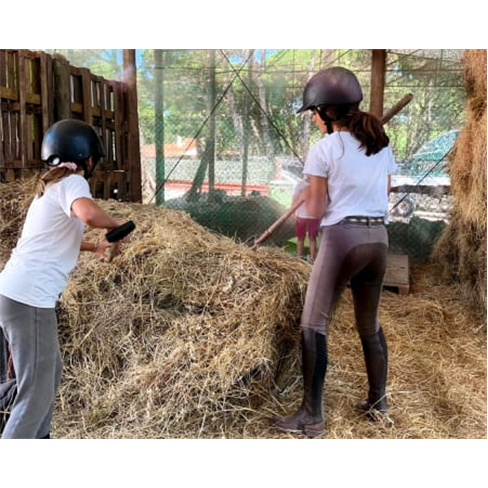 Baptismo a Cavalo em Picadeiro em Sintra | Clube Equestre de Janas - O Paddock E