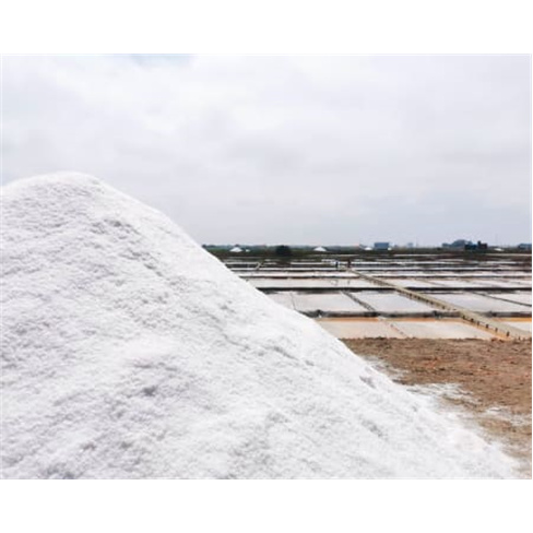 Visita Guiada às Salinas de Aveiro | 45 Minutos | Onda Colossal Bilhete de Cria
