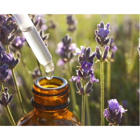 Massagem Florais de Bach | Lux Yang Therapy SPA Coimbra