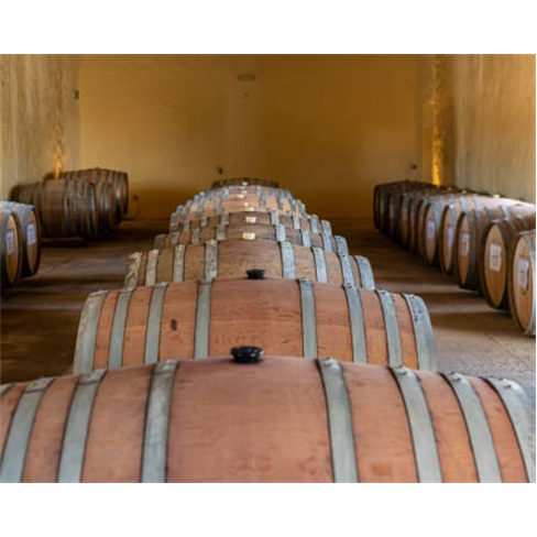 Visita + Prova de Vinhos He... Visita à Adega e Museu do Arroz + Prova de Vinho