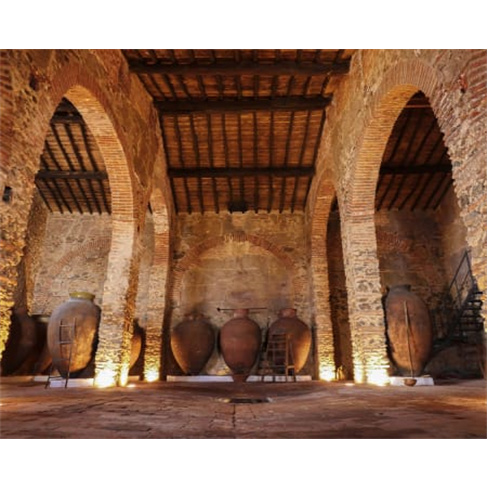 Visita Guiada à Adega-Museu...da + degustação de petiscos alentejanos | 1 Pes