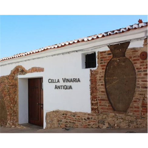 Visita Guiada à Adega-Museu...da + degustação de petiscos alentejanos | 1 Pes