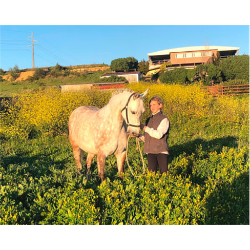 Baptismo a Cavalo! Aula de Equitação no Picadeiro Quinta das Cabanas | Cascais