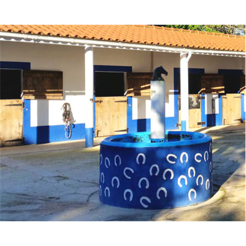 Baptismo a Cavalo em Picadeiro em Sintra | Clube Equestre de Janas - O Paddock E