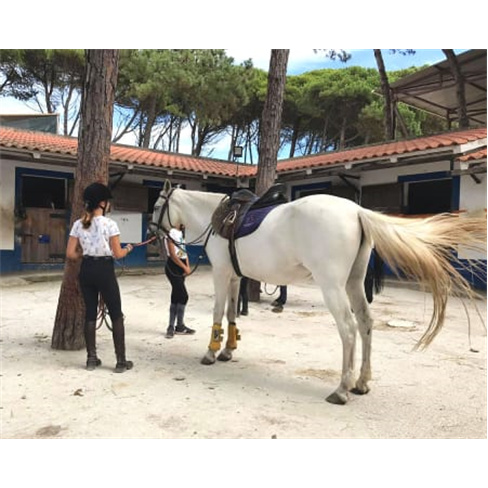 Baptismo a Cavalo em Picade...re de Janas - O Paddock Experiência para 2 Pessoa