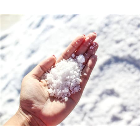 Visita Guiada às Salinas de Aveiro | 45 Minutos | Onda Colossal Bilhete de Cria