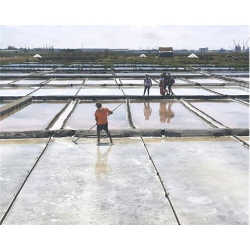 Visita Guiada às Salinas de Aveiro | 45 Minutos | Onda Colossal Bilhete de Cria