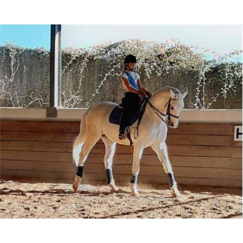 Baptismo a Cavalo! Aula de Equitação no Picadeiro Quinta das Cabanas | Cascais
