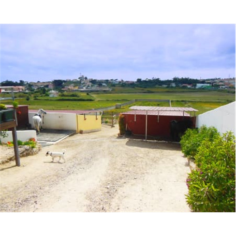Baptismo a Cavalo! Aula de Equitação no Picadeiro Quinta das Cabanas | Cascais