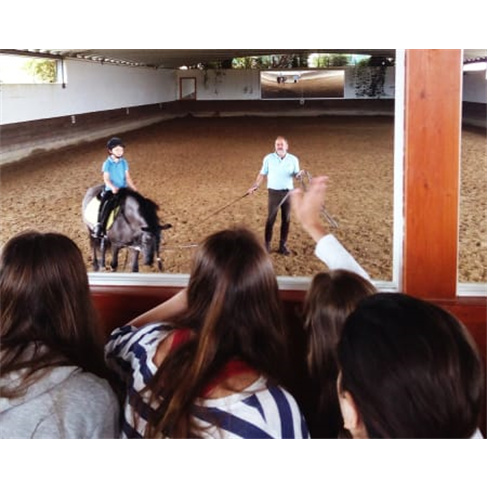 Baptismo a Cavalo! Aula de Equitação no Picadeiro Quinta das Cabanas | Cascais