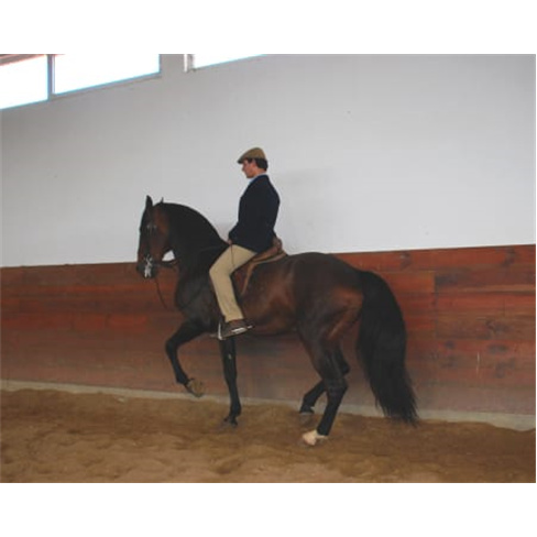 Baptismo de Cavalo ou Pónei...a Baptismo a Cavalo/Pónei | 2 Adultos + 2 Crian