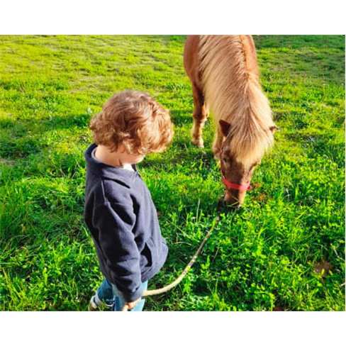Baptismo de Cavalo ou Pónei...o a Cavalo/Pónei + Almoço | 2 Adultos + 2 Crian