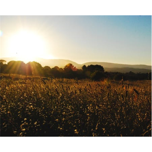Dia de Sonho no Campo a Dois com Baptismo a Cavalo e Almoço | Quinta do Vale -