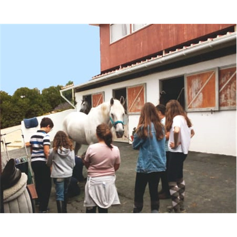 Baptismo a Cavalo! Aula de Equitação no Picadeiro Quinta das Cabanas | Cascais
