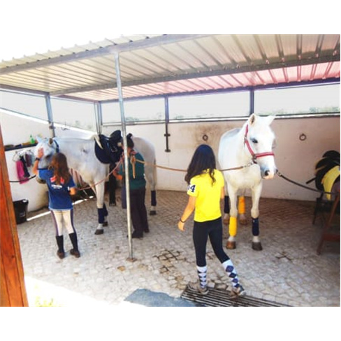 Baptismo a Cavalo! Aula de Equitação no Picadeiro Quinta das Cabanas | Cascais