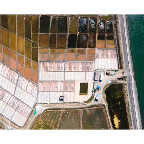 Visita Guiada às Salinas de Aveiro | 45 Minutos | Onda Colossal Bilhete de Cria