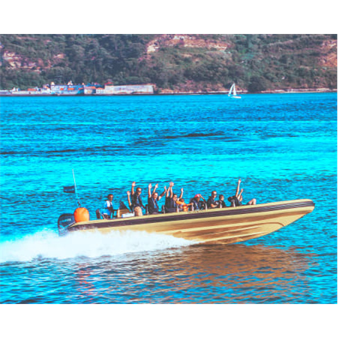 Passeio de Speedboat Privad... Passeio de Speedboat no Rio Tejo | Até 18 Pessoa
