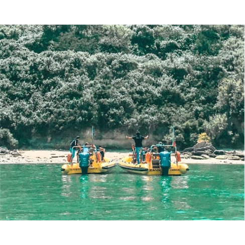 Passeio de Speedboat no Rio Tejo | Privado até 8 Pessoas