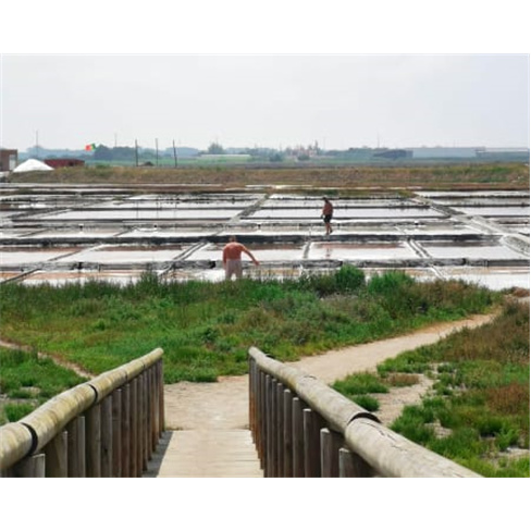 Visita Guiada às Salinas de Aveiro | 45 Minutos | Onda Colossal Bilhete de Cria