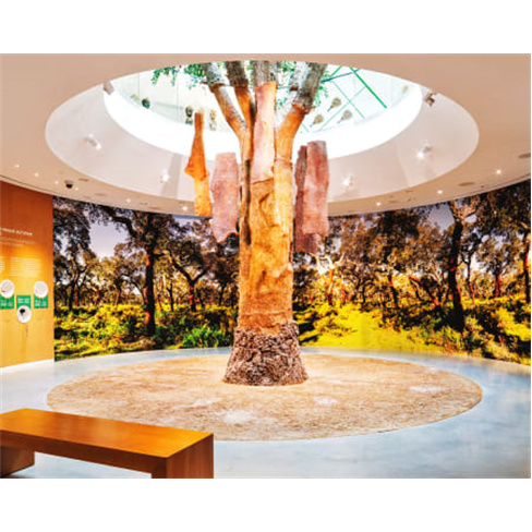 Planet Cork - Gaia | Visita ao Museu da Cortiça Bilhete de Criança (4-12 Anos)
