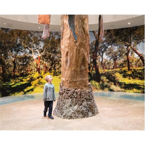 Planet Cork - Gaia | Visita ao Museu da Cortiça Bilhete de Adulto (+13 Anos)