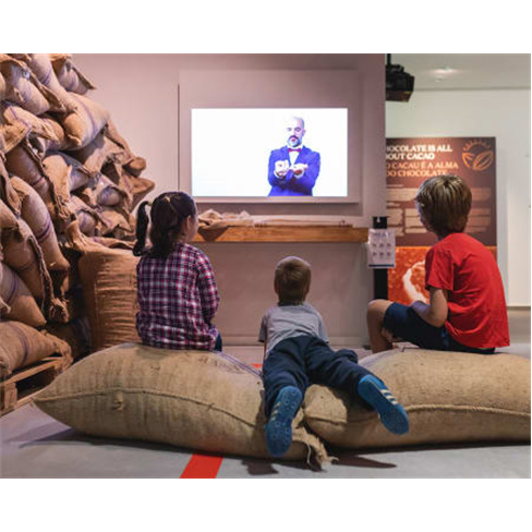 WOW | The Chocolate Story |... do Chocolate em Gaia Bilhete de Adulto (+13 Anos)