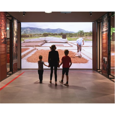 WOW | The Chocolate Story |... do Chocolate em Gaia Bilhete de Adulto (+13 Anos)