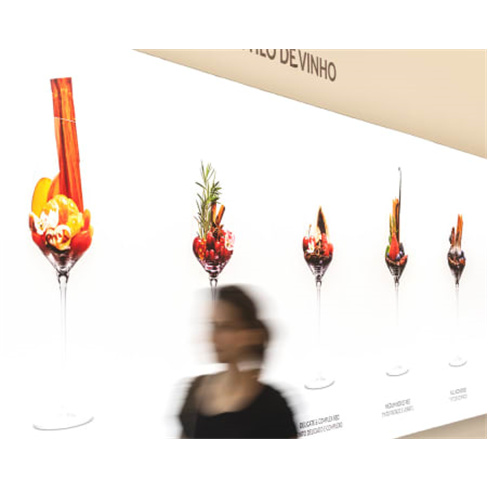 The Wine Experience - Gaia ...ita ao Museu do Vinho Bilhete de Adulto (+13 Anos)