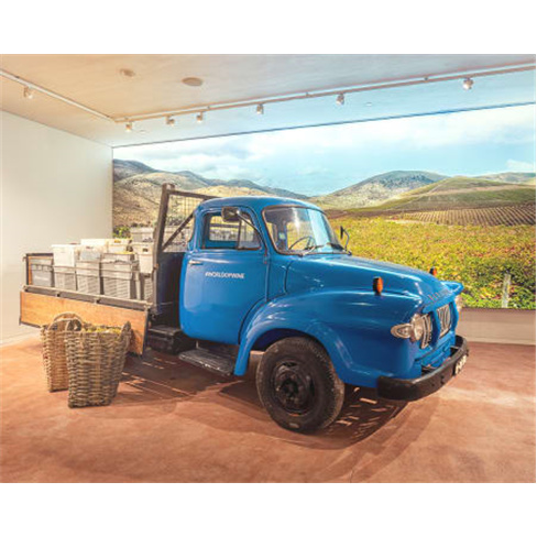 The Wine Experience - Gaia | Visita ao Museu do Vinho Bilhete de Criança (4-12