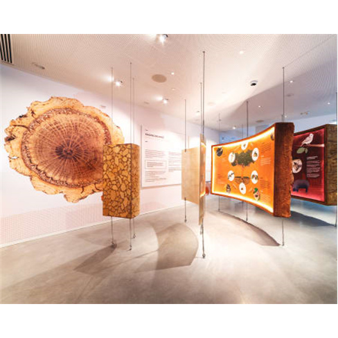 Planet Cork - Gaia | Visita ao Museu da Cortiça Bilhete de Adulto (+13 Anos)
