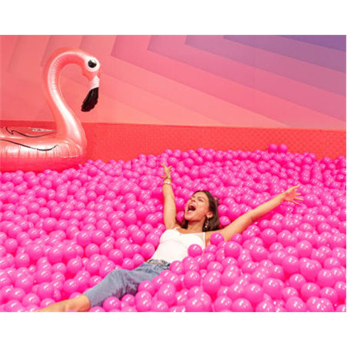 Pink Palace - Gaia | Visita...o Rosé Bilhete de Família (2 Adultos + 2 Crianç