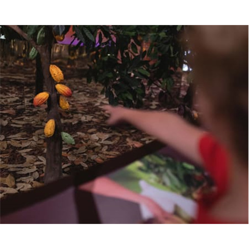 WOW | The Chocolate Story |... do Chocolate em Gaia Bilhete de Adulto (+13 Anos)