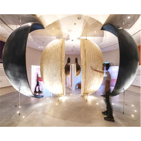 The Wine Experience - Gaia | Visita ao Museu do Vinho Bilhete de Criança (4-12