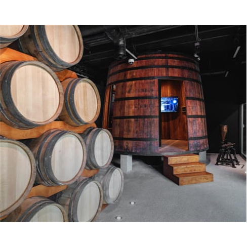 The Wine Experience - Gaia ...ita ao Museu do Vinho Bilhete de Adulto (+13 Anos)