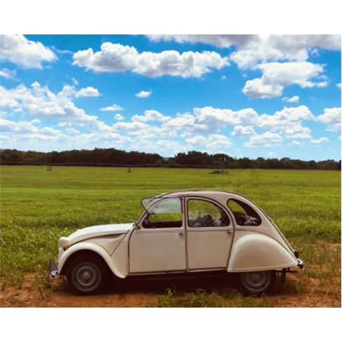 Passeio de Carro Clássico no Oeste com Piquenique em Sintra-4Pn(50 caracteres)