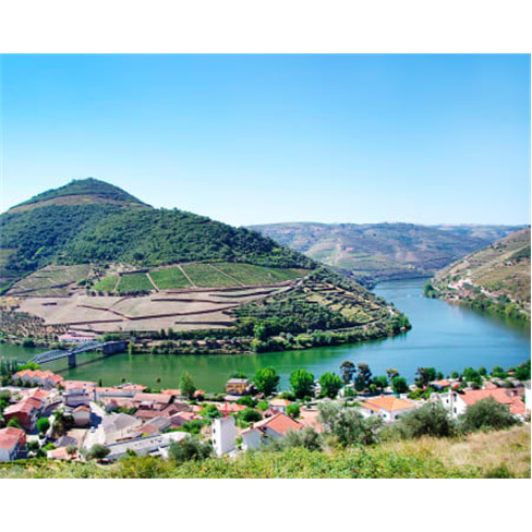 Cityrama Porto: Tour em Aut...isita a Cave de Vinho do Porto	| Bilhete de Adulto