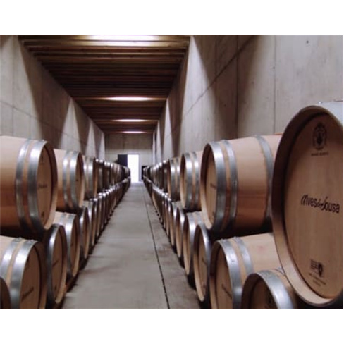 Visita à Adega + Prova de 3 Vinhos para Dois | Quinta da Gaivosa de Alves de So